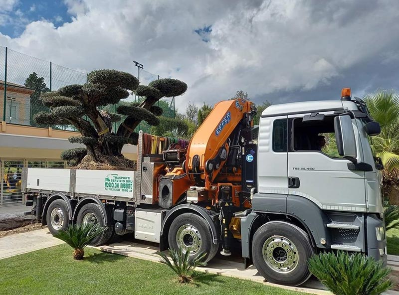 Trasporto strumenti musicali Italia